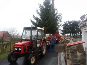 Vánoční strom 2013
