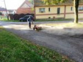 Oprava místních komunikací tryskovou metodou turbo 10/2012