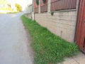 Oprava chodníku v ulici Na Příči 2012