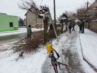 Brigáda SDH na stříhání stromů 15.12.2012