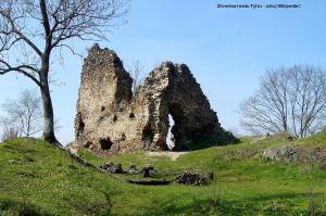 Zřícenina hradu Týřov - zdroj Wikipedie©